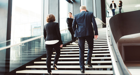 Lan-aholkularitza Errenterian